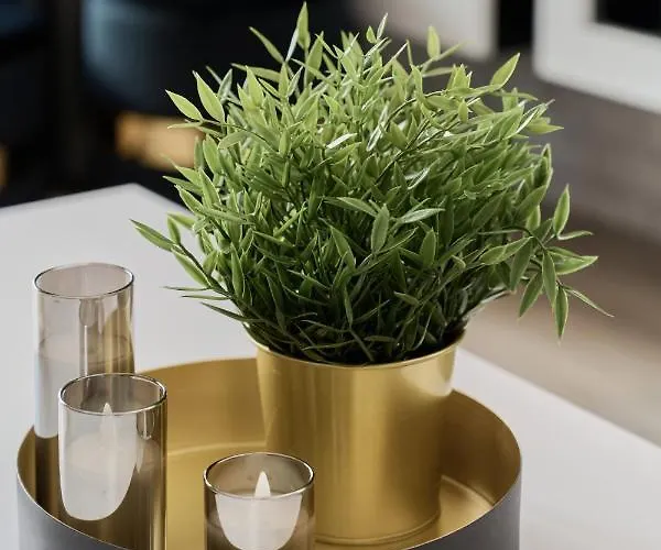 Odra Tower Center Of By Renters Prestige * Wroclaw